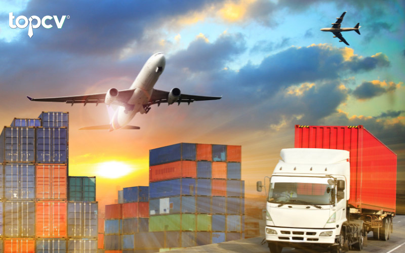 Sale Logistics và sale xuất nhập khẩu có gì giống và khác nhau?