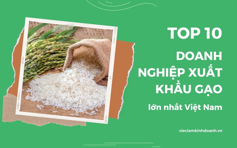 Sự phát triển của doanh nghiệp xuất khẩu gạo mang tới nhiều lợi ích cho Việt Nam